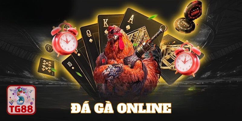 Đá Gà TG88 - Giao diện thân thiện, dễ thao tác